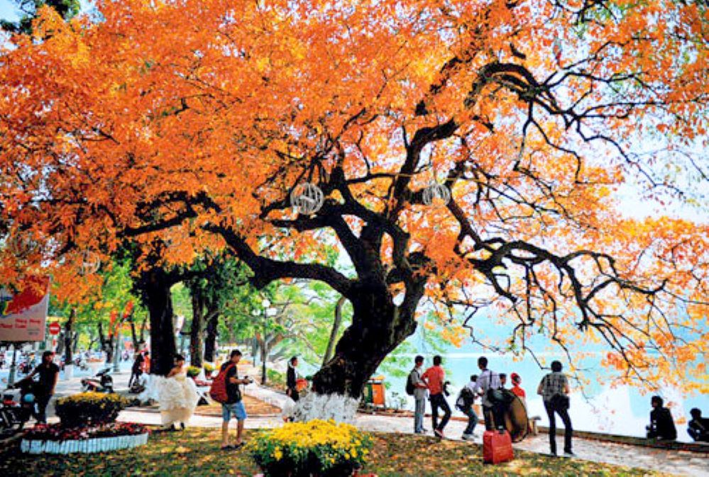 Thời tiết hôm nay (21-4): Bắc Bộ nhiều nơi ngày nắng, rải rác có mưa rào